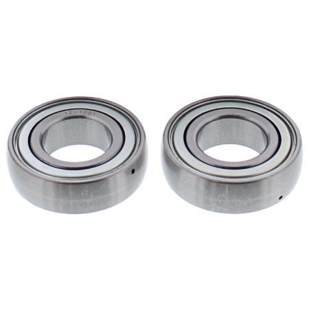 14-1078 | ALL BALLS CHAIN CASE BEARING & SEAL KIT |