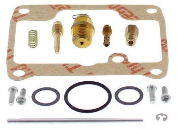 26-1991 | All Balls Carburetor Repair Kit Fits BRP |