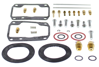 26-1994 | All Balls Carburetor Repair Kit Fits BRP |