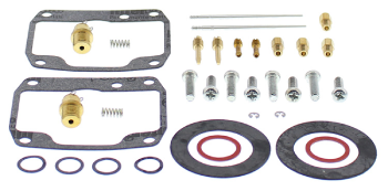 26-1996 | All Balls Carburetor Repair Kit Fits BRP |