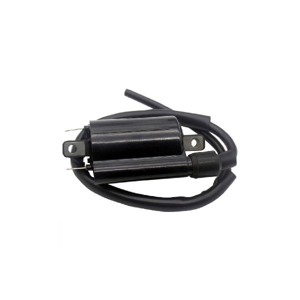 RM06066 | External Ignition Coil for Arctic Cat M 9000 Pro Climb Pro Cross F XF TZ 1 Z1 Turbo ZR 1100 2009-2016 |