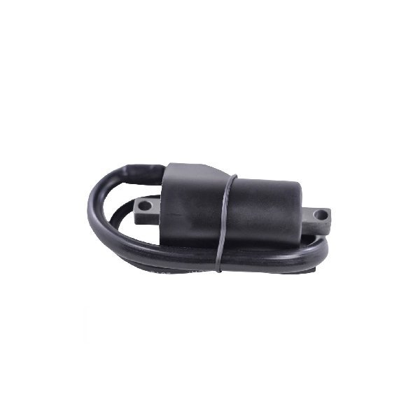 RM06109 | External Ignition Coil for Polaris RXL 650 1990-1997 |